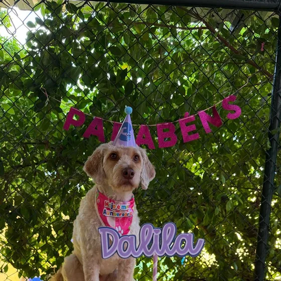 Festa de aniversário na creche, com faixa de parabéns