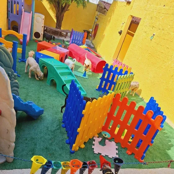 Playground com circuito de obstáculos coloridos