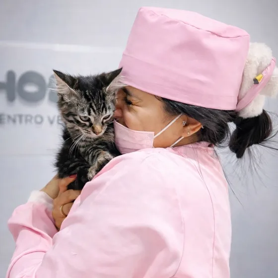 Profissional do HosPETal com um gatinho filhote no colo, rosto encostado no dele